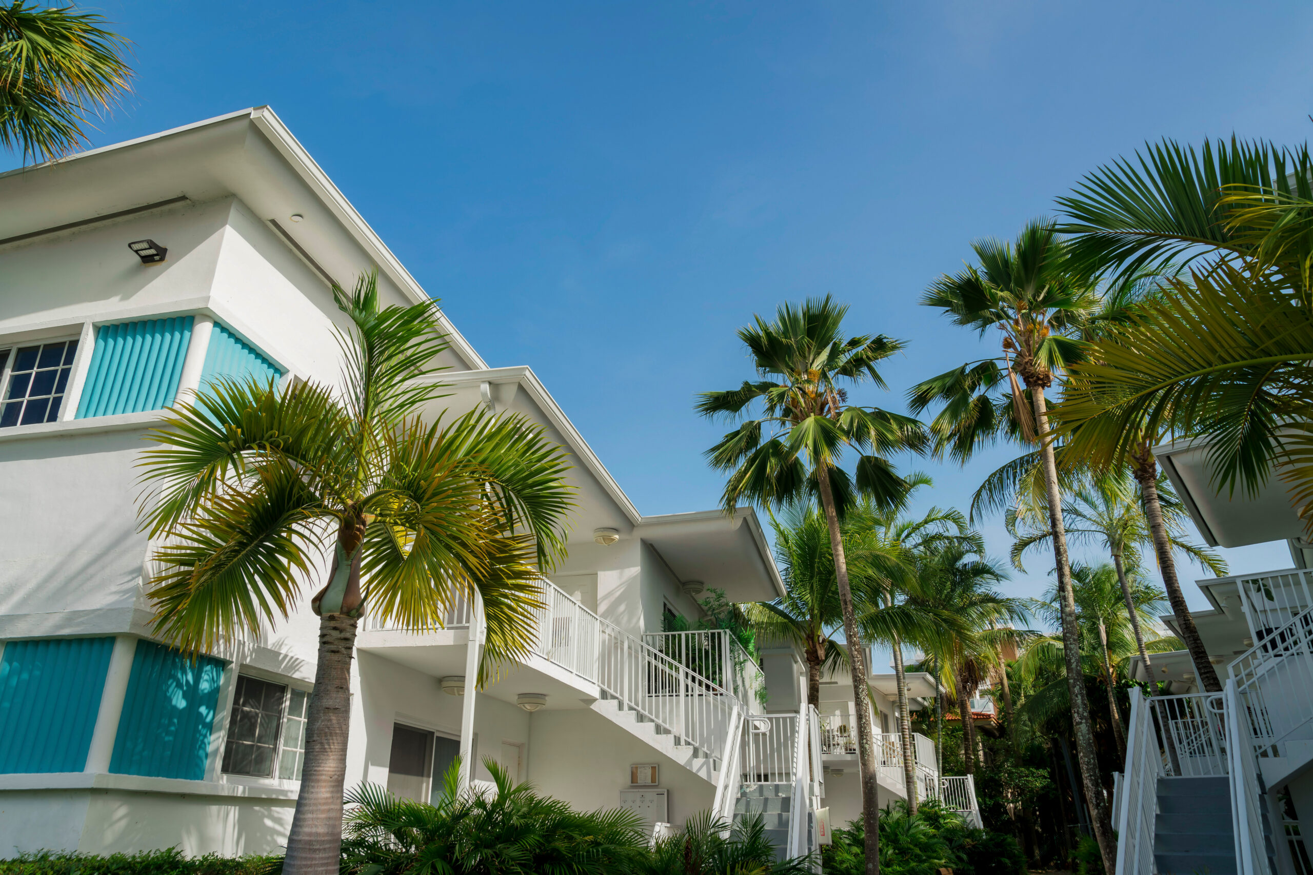 White residential buildings with staircase to the entrance near the trees outdoors- Miami, Florida. Low angle view of buildings with plants and trees in the middle below the blue sky.